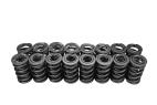 1997-2022 CHEVROLET LS  LIVERNOIS MOTORSPORTS LS VALVE SPRING SET