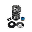 LIVERNOIS MOTORSPORTS LS9 - ENGINE DUAL SPRING KIT - COMPLETE - TITANIUM RETAINER