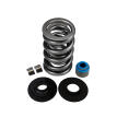 LIVERNOIS MOTORSPORTS LS-ENGINE DUAL SPRING KIT - COMPLETE - STEEL RETAINER