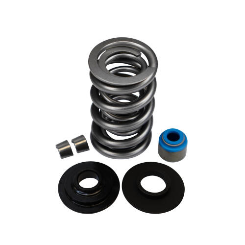 LIVERNOIS MOTORSPORTS LS-ENGINE DUAL SPRING KIT - COMPLETE - STEEL RETAINER