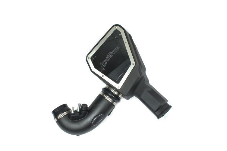 LIVERNOIS MOTORSPORTS COLD AIR INTAKE 2015-2017 5.0L MUSTANG